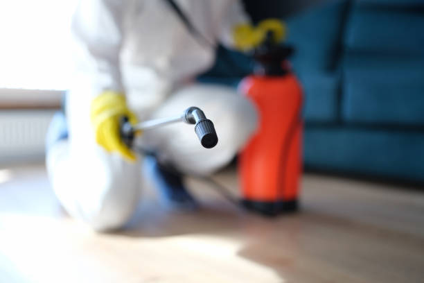 Asbestos and Lead Testing During Mold Inspection in Auxvasse, MO